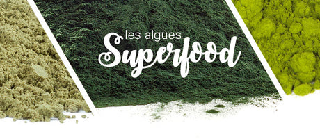 Les algues : Chlorelle et Spiruline !