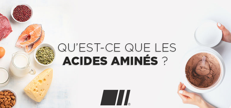 Qu'est-ce que les acides aminés ?