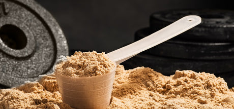 Protéine et whey : quelles différences ?