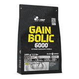 Gain Bolic 6000