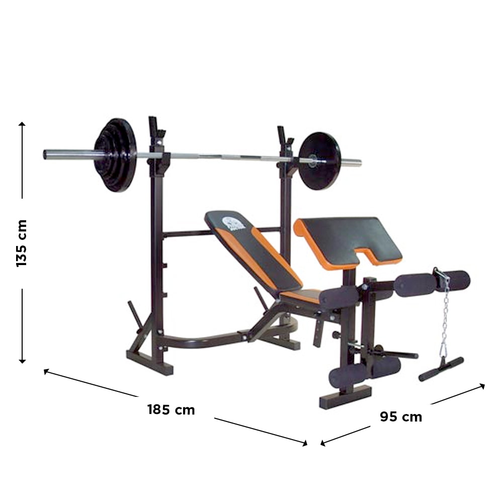 Titan Bench FITNESS DOCTOR - FitnessBoutique